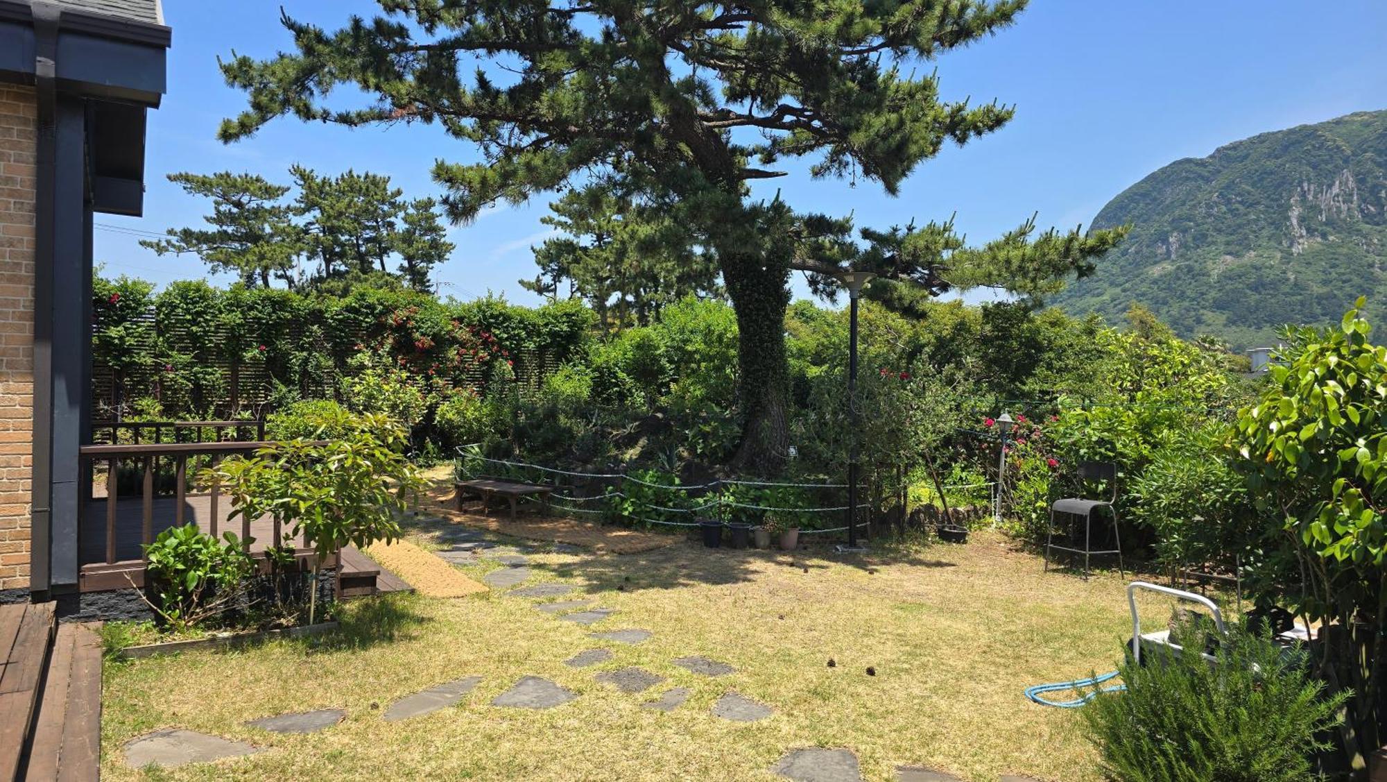 济州温德咖啡馆&度假屋 西归浦市 外观 照片